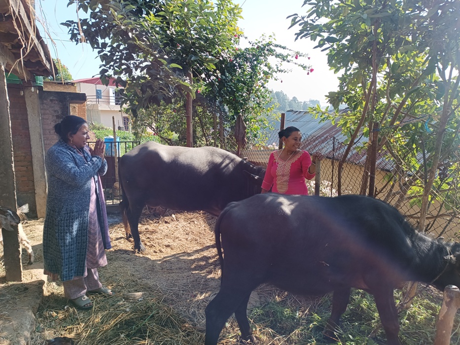 PANAUTI-PADA (3)1699665165.jpg